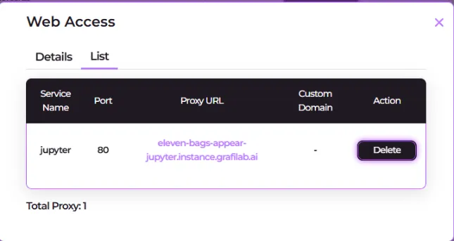 Screenshot of the Web Access List tab with one port mapping row and the Total Proxy count