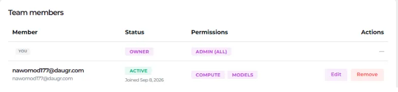 Screenshot of the team members table with the Owner row and one Active member row